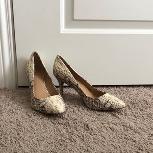 INC Snake print heels